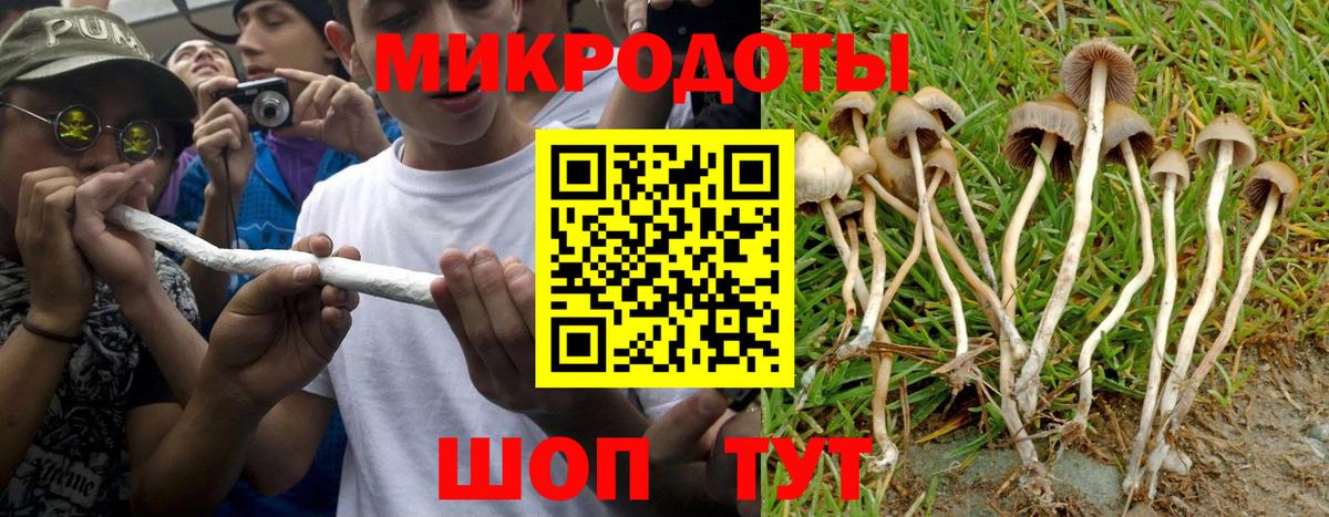 Ефремов  Галлюциногенные грибы ЛСД  Вход с VPN  Галлюциногенные грибы Psilocybine cubensis 